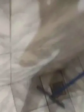 Cam4 Best Webcam of Caiopal