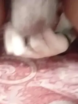 Cam4 Free Live Porn of pittarosso1