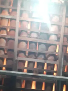 Cam4 Live Sex Cam of Guto6000