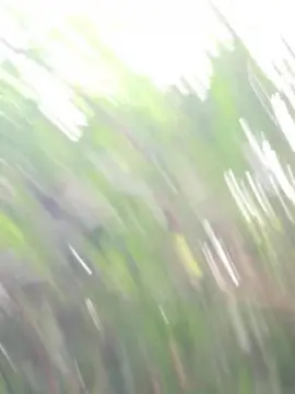 Cam4 Best Webcam of Guto6000