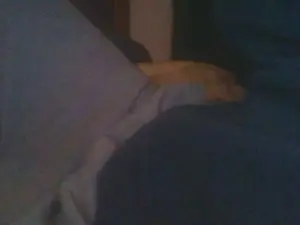 Cam4 Private Sex Chat of daveplee7