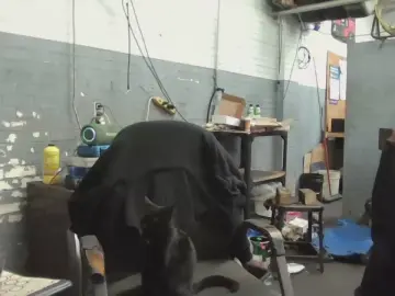 Cam4 Sex Chat of Bigtoyguy34