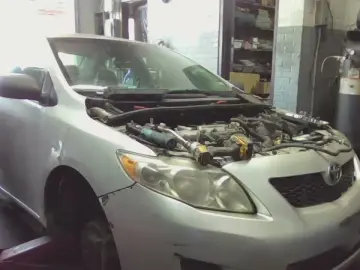 Cam4 Adult Webcams of Bigtoyguy34