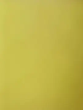 Cam4 Best Webcam of versatice