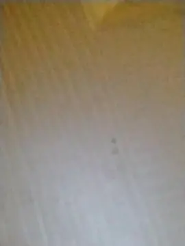 Cam4 Nude Webcam of BabiiiD3mon