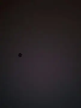 Cam4 Adult Webcam of auplusprofond