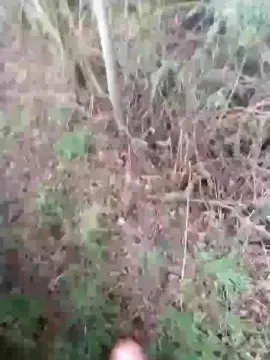 Cam4 Free Live Porn of soloo_mira