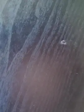 Cam4 Live Sex of Kem30