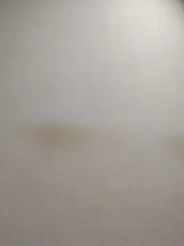 Cam4 Sex Cam of tonytuga