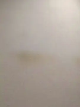 Cam4 Sex Chat of tonytuga