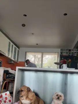 Cam4 Free Porn Cam of 19ALPHA77