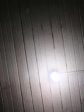 Mariposita50 from cam4