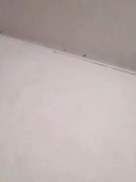 Cam4 Sex Cam of PitoFlaco93