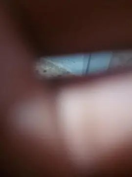 Cam4 Best Webcam of binho01