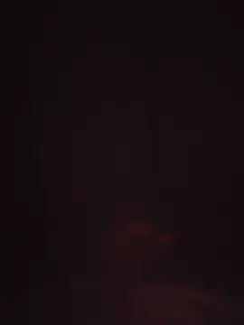 Cam4 Adult Video Chat of bastonxxx