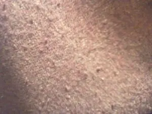 Cam4 Adult Webcams of madurmad