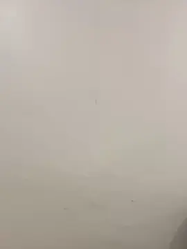 Cam4 Free Porn Cam of Elamesma_