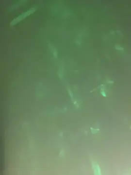 Cam4 Free Live Porn of GOODASSDICK