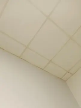 Cam4 Free Live Porn of Matte2006