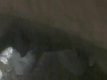 Cam4 Free Porn Cam of gabrielbusca