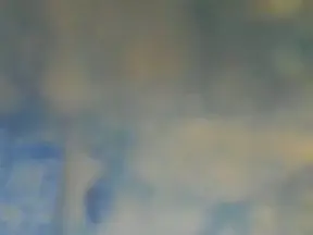 Cam4 Watch Live Sex Cams of minpresident