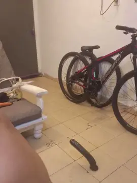 Cam4 Free Live Porn of brianal