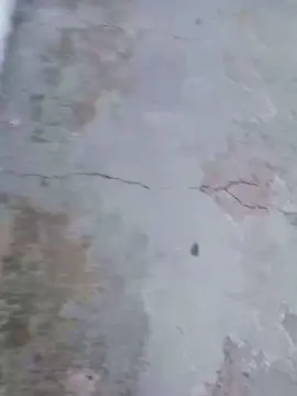 Cam4 Watch Live Sex Cams of caetano303