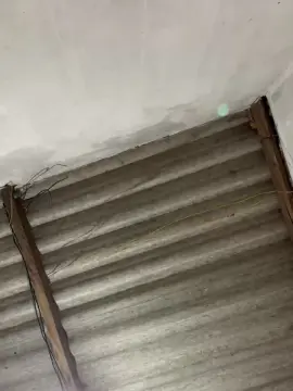 Cam4 Live Porn of Gustavoms2446