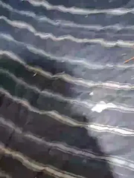 Cam4 Free Live Porn of Naxocaliente