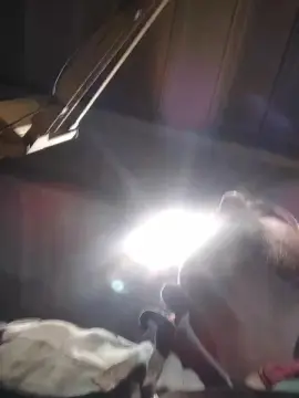 Cam4 Free Porn Cam of jeurs1