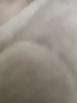 Cam4 Free Porn Cam of Juanin_24