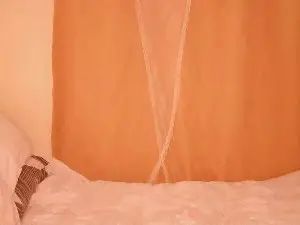 Cam4 Free Porn Cam of Sweetsunshine22