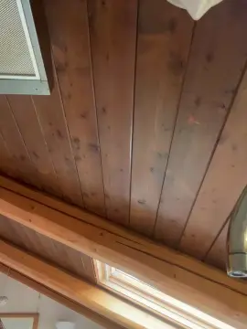 Cam4 Free Porn Cam of XBEAR001