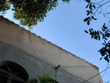 Cam4 Sex Chat of beard_man_sexy