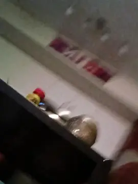 Cam4 Sex Cam of Mr_GetU_Rite