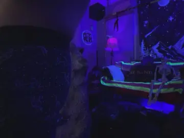 Cam4 Live Sex Cam of JaeMonroe