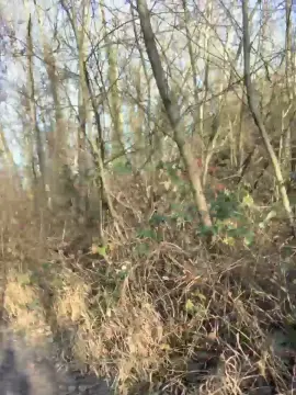 Cam4 Best Webcam of Joueurh