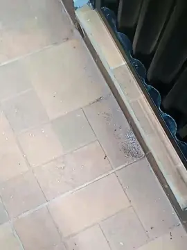 Cam4 Best Webcam of a45661