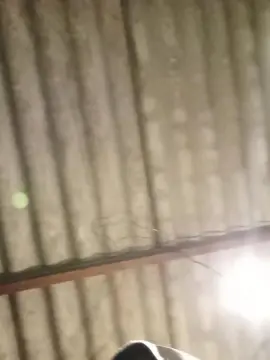 Cam4 Nude Webcam of 18cm641