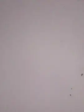 Cam4 Free Live Porn of Gisellebel