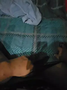 Cam4 Sex Chat of Matyropareja293