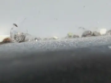 Cam4 Private Sex Chat of sissy7436