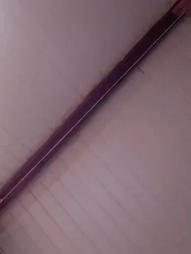 Cam4 Free Live Porn of alf30000