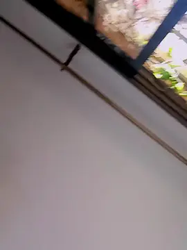 Cam4 Free Porn Cam of Prettyho