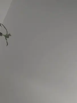 Cam4 Watch Live Sex Cams of Thor04