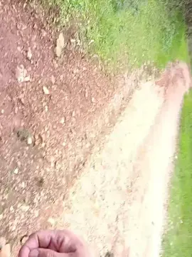 Cam4 Adult Webcam of Top_man