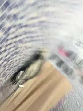 Cam4 Free Live Porn of willyams4