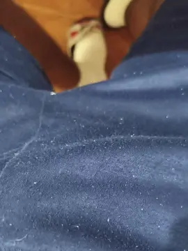 Cam4 Live Sex of goianocareca