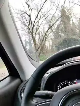 Cam4 Adult Webcams of nudo_xxx