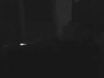 Cam4 Free Porn Cam of zena_xxx